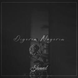 Dıgerım Nagerım (Slowed)