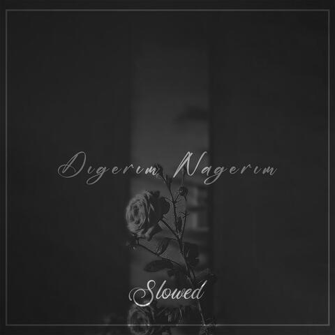 Dıgerım Nagerım (Slowed)
