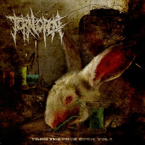 TORN THE FUCK OPEN, Vol. 1