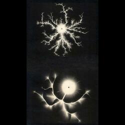 crunch shit (feat. PUNT)