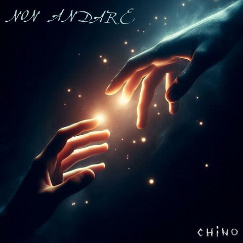 Non Andare