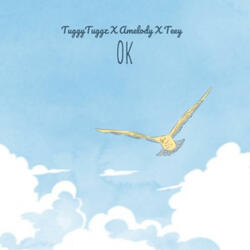 Ok (feat. Amelody & Teey)