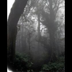 the scars just come back