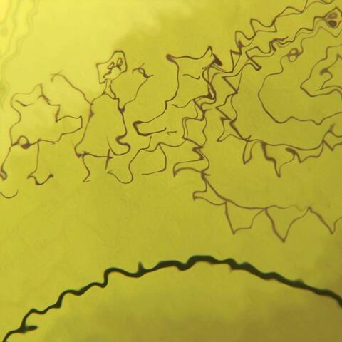 Das? (A Soundscape)