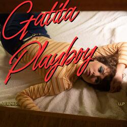 Gatita Playboy