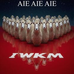 IWKM