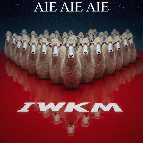 IWKM