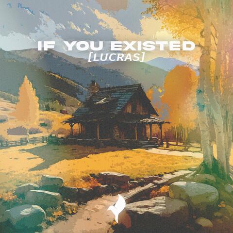 If you, existed