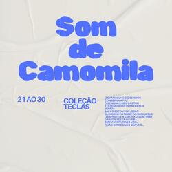 Testemunhas verazes nós somos