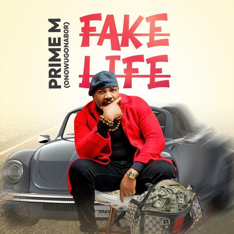 Fake Life