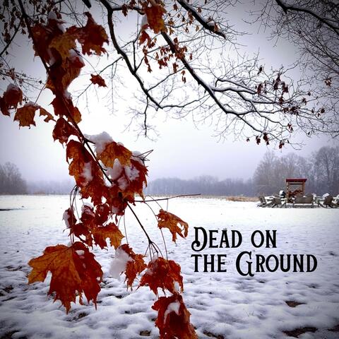 Dead on the Ground