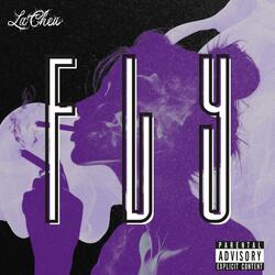 Fly