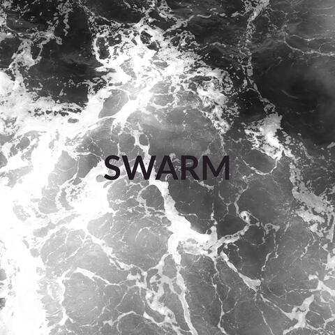 Swarm