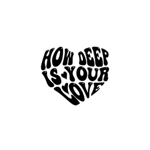 how deep is your love (seung remix)