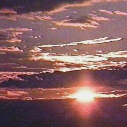 te escribí, entre lágrimas: