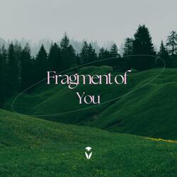 Fragment of You