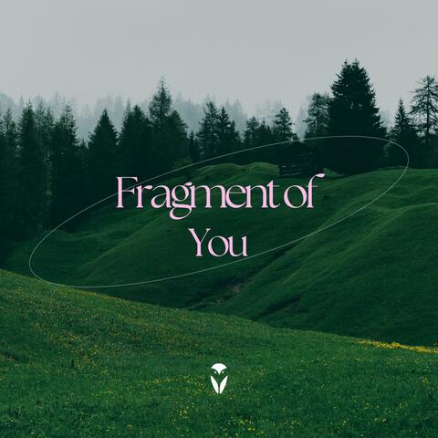 Fragment of You