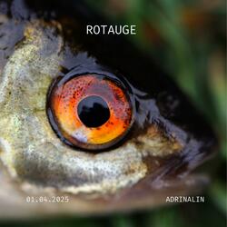 ROTAUGE