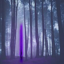 Book Page (feat. Luvbriel)