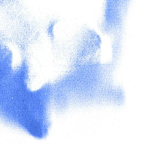 JARRÓN DE FLORES MUERTAS