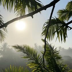 Tulum (Afro House)