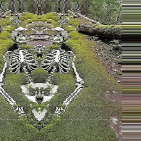 trench prod.skaleaton