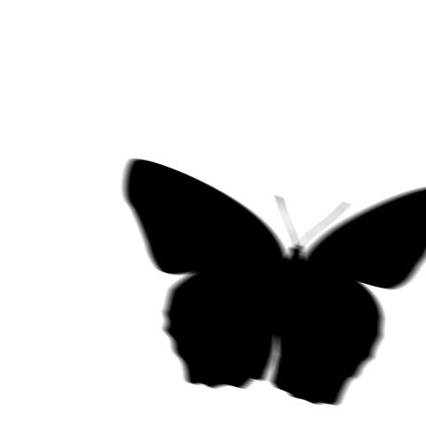 Butterfly Effect