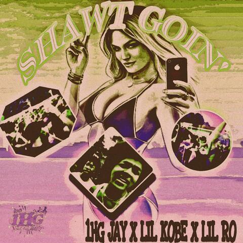 Shawt Goin' Pt. 2 (feat. 1HG Jay & Lil Ro)