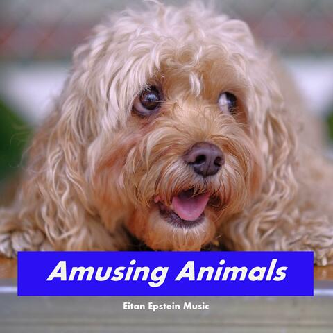 Amusing Animals