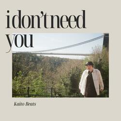 i don't need you