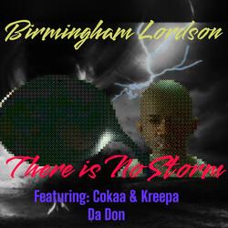 There Is No Storm! (feat. Cokaa & Kreepa Da Don) (Radio Edit)