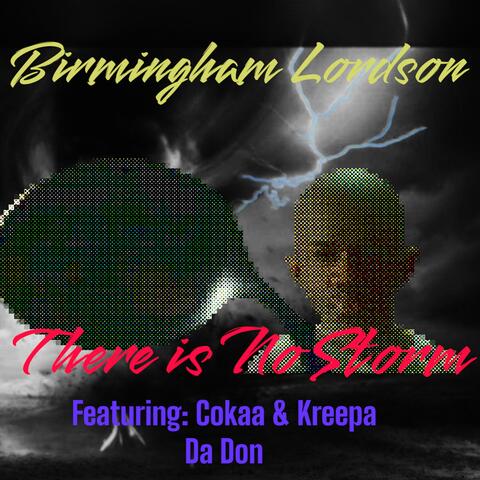 There Is No Storm! (feat. Cokaa & Kreepa Da Don) [Radio Edit]