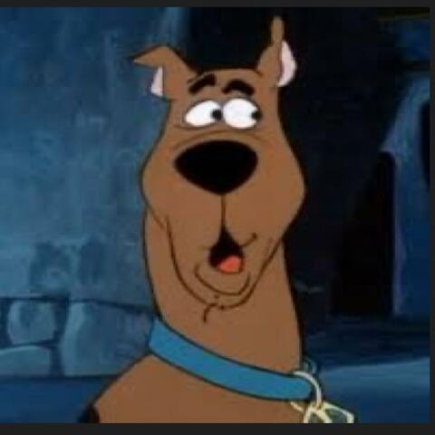 Ruh Roh Rhaggy