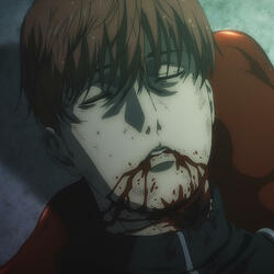 shaw - reiner