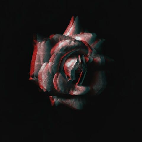 I love you (freestyle)