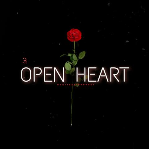 Open Heart