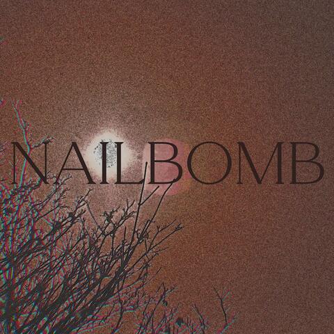 Nailbomb (feat. brody brody again)