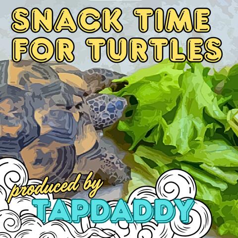 Snack Time For Turtles