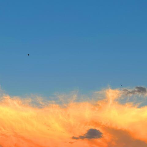 Twenty-Eight (Interlude)