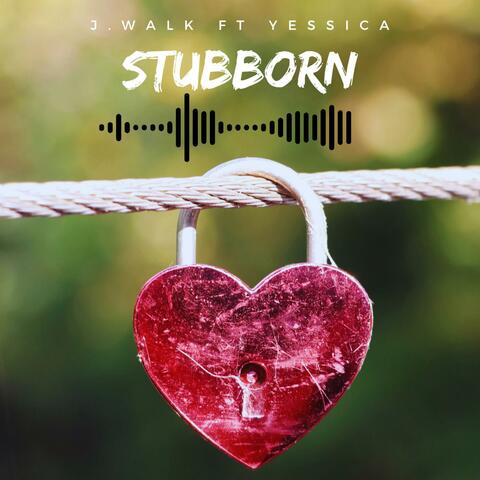 Stubborn