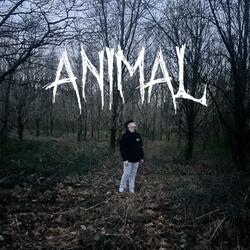animal