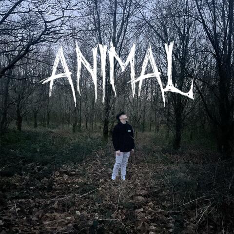 animal