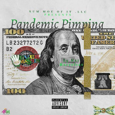 (Pandemic Pimpin')