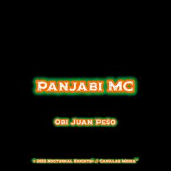 Panjabi MC  (Raw Mix)