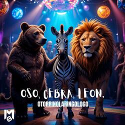 Oso, Cebra, Leon (Otorrinolaringolo)