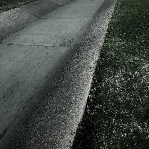 i still haven't found my costco card (i never had one)