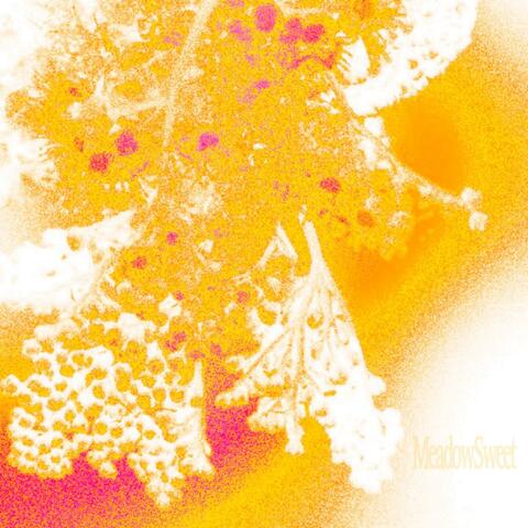 MeadowSweet
