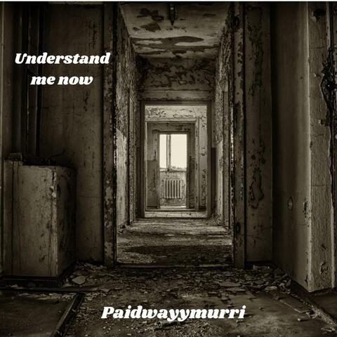 Understand Me Now