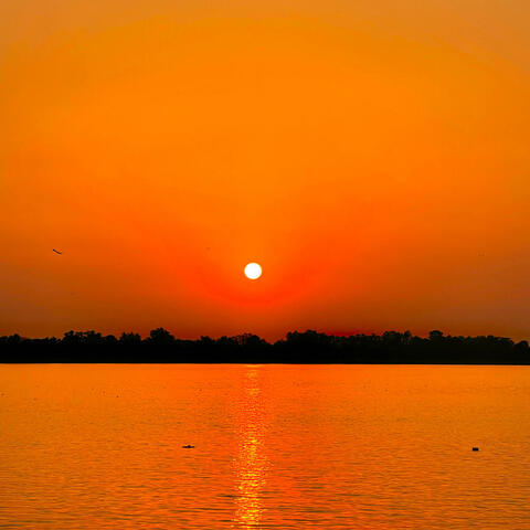 Zaada Bol Diya