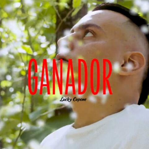Ganador
